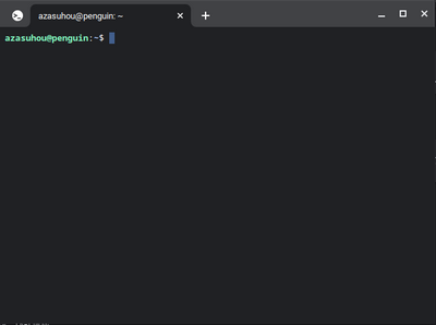 Linux環境がインストールされた